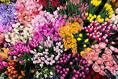 《唐传奇：琵琶行》公开 古风背景潜行动作